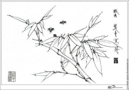 Бамбук гунби