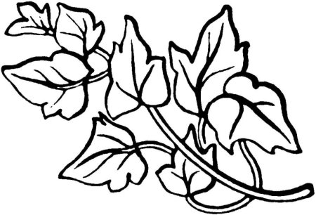 Трафареты для выжигания