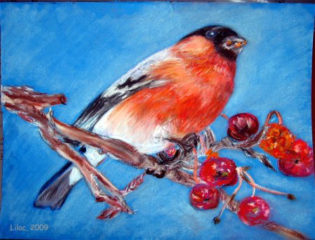 Снегирь пастелью