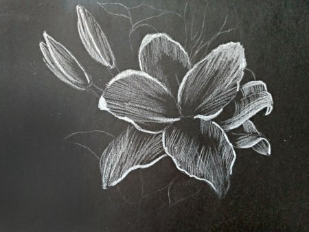 Распечатки для черной бумаги