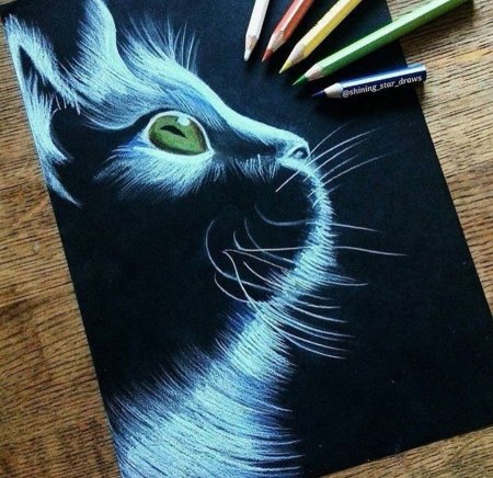 Рисование пастелью на черной бумаге