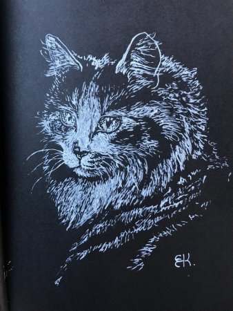 Рисунки белым по черному