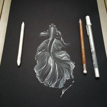 Наброски на черной бумаге