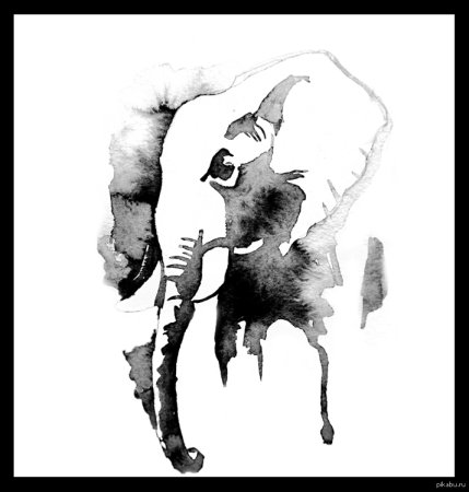 Наброски пятном