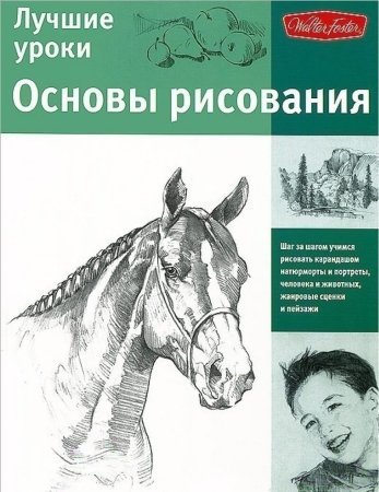 Основы рисования