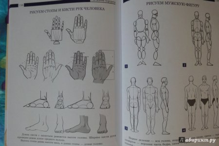 Самоучитель по рисованию