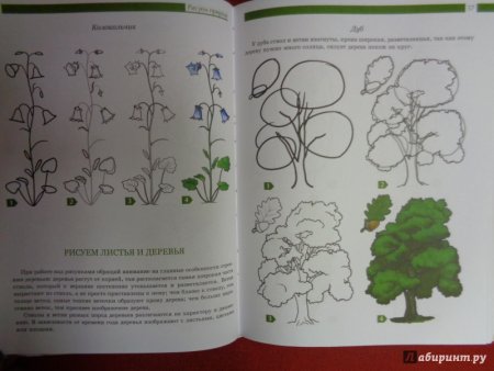 Книги по рисованию