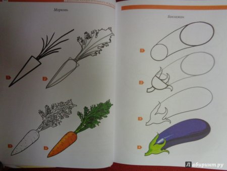 Пособие по рисованию