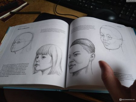 Книга полный курс рисования