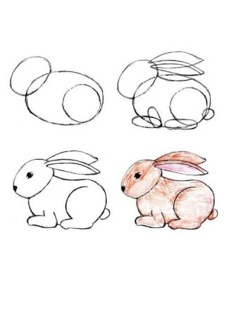 Поэтапное рисование кролика