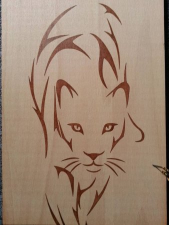 Фёдор Абрамов выжигатель портрет