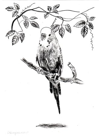 Рисунки тушью