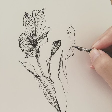 Рисование тушью для начинающих