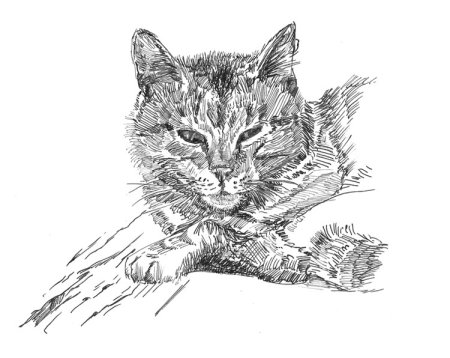 Рисунки тушью и пером