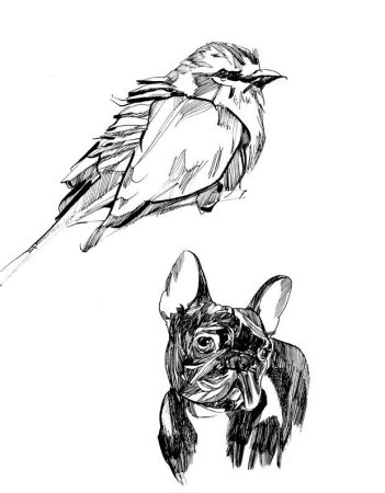 Зарисовки животных тушью