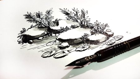 Перо для рисования