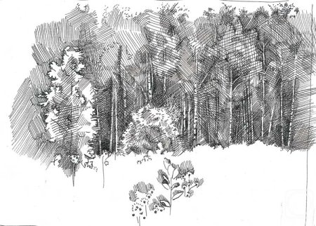 Рисуем пером и тушью