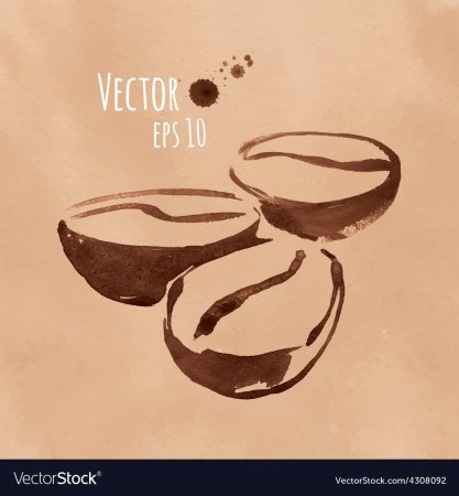 Лёгкие рисунки кофем