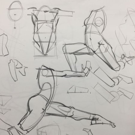 Анатомия человеческого тела для художников