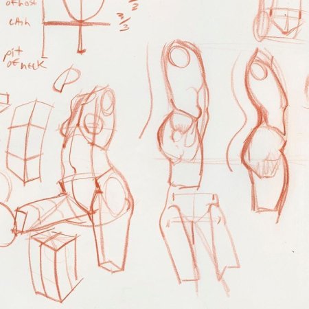 Анатомия тела для рисования