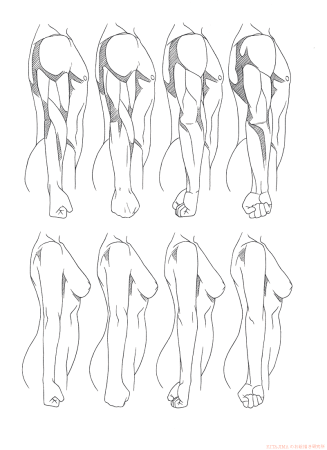 Анатомия тела для рисования