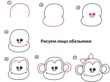 Как нарисовать обезьяну