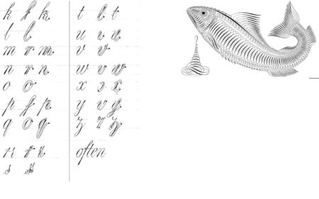 Упражнения для каллиграфии и развития почерка