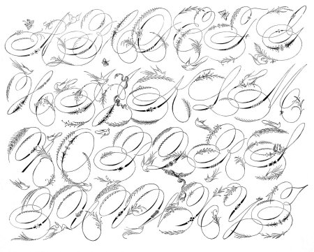 Spencerian каллиграфия