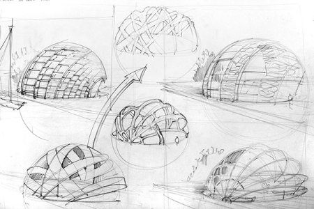 Зарисовки природных форм