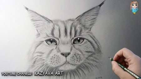 Лёгкие рисунки для срисовки Мейн кун