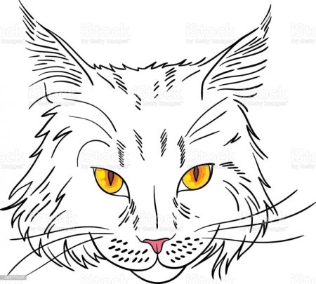 Голова кота сбоку референс