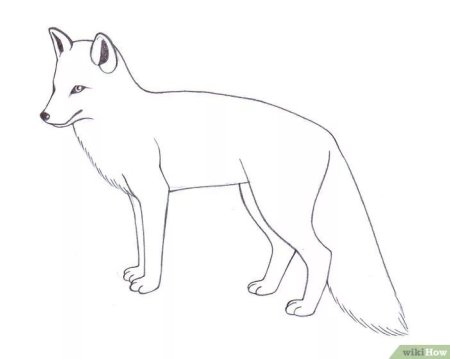 Рисунок лисы для детей