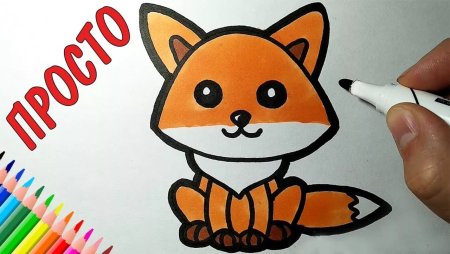 Последовательность рисования животных