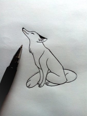 Легкий рисунок песца