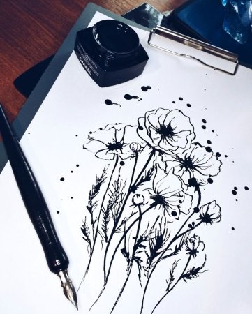 Перо рисунок