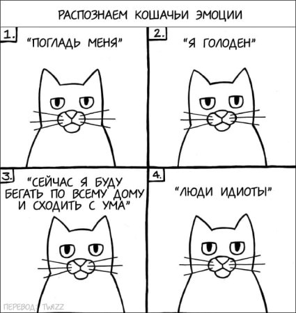 Комиксы с котами