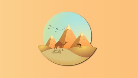 Иллюстрации в адоб иллюстратор