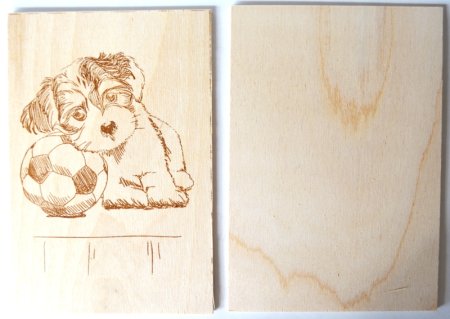 Десятое королевство набор для выжигания песик 01568