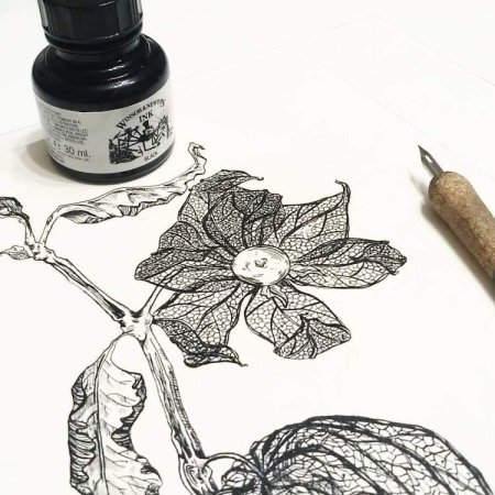 Перо для рисования тушью