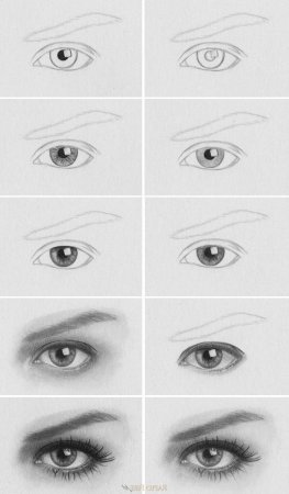 Уроки рисования для начинающих глаза