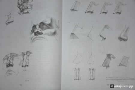 Книга Николай ли основы учебного академического