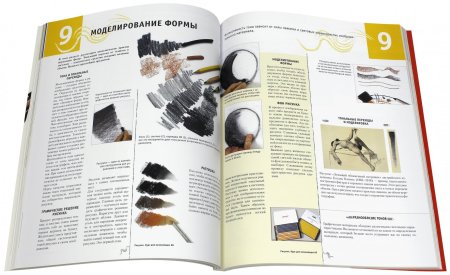 Курс иллюстрации для начинающих