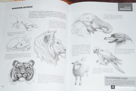 Книги по рисованию для начинающих