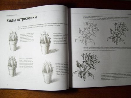 Полный курс по рисованию