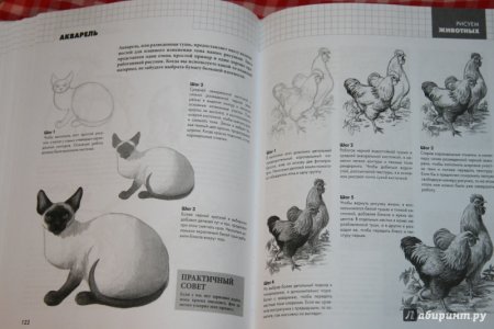 Рисуют все полный курс рисования для начинающих