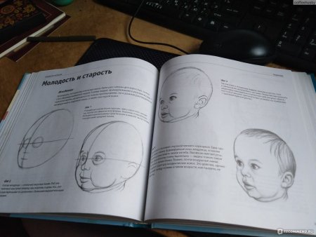 Полный курс рисования