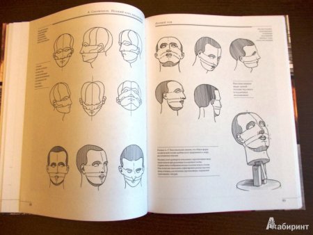 Курс рисования для начинающих