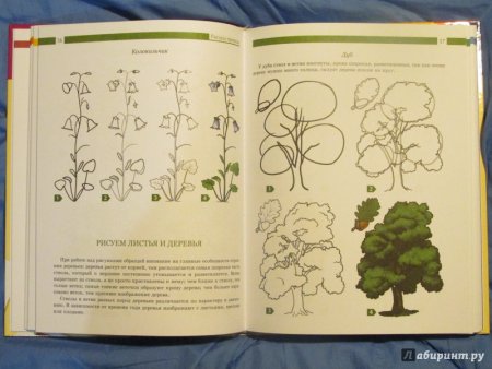 Книги по рисованию