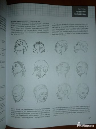 Книга полный курс рисования для начинающих