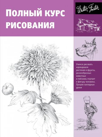 Основы рисования